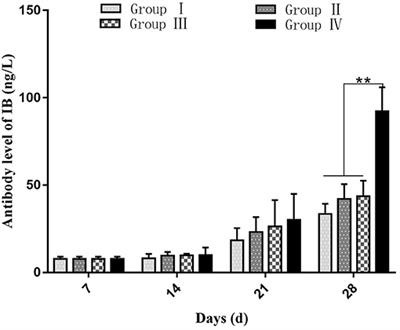 Combined Effect of Shegandilong Granule and Doxycycline on Immune Responses and Protection Against Avian Infectious Bronchitis Virus in Broilers